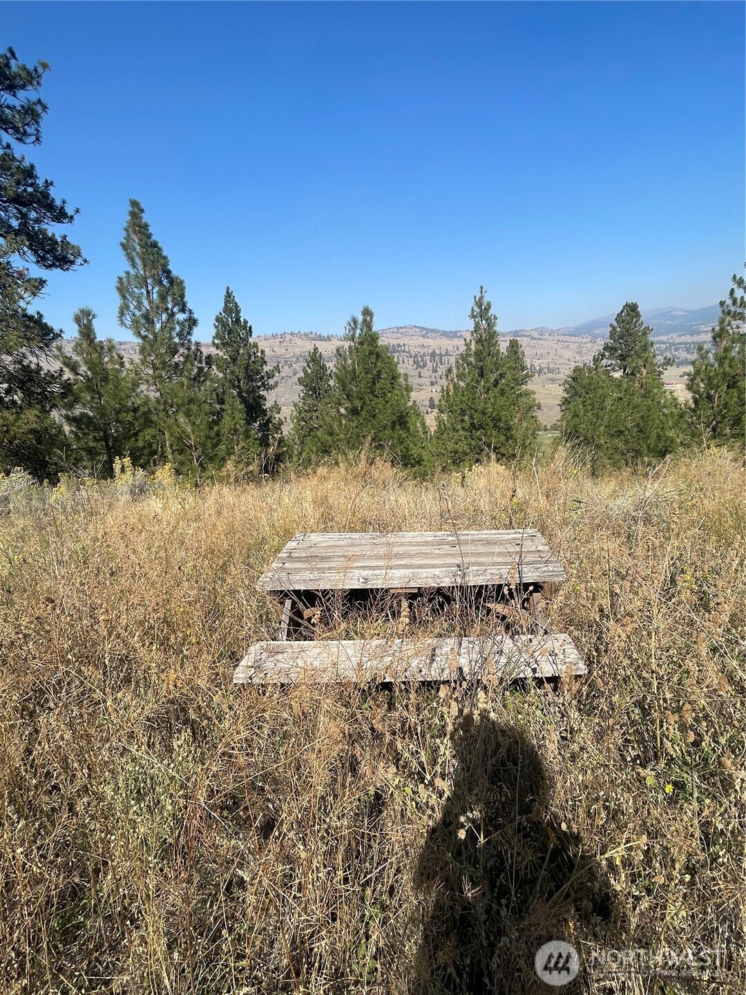 0 Tbd Reevas Basin Road Property Photo 16
