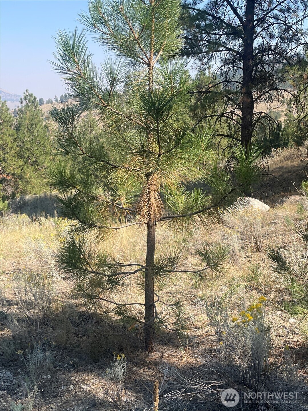 0 Tbd Reevas Basin Road Property Photo 17