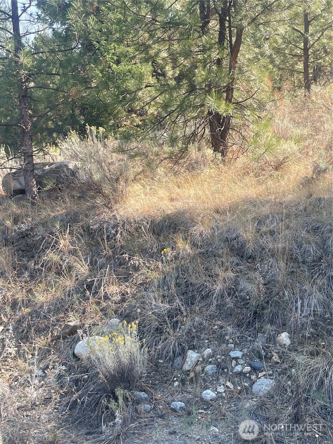 0 Tbd Reevas Basin Road Property Photo 19