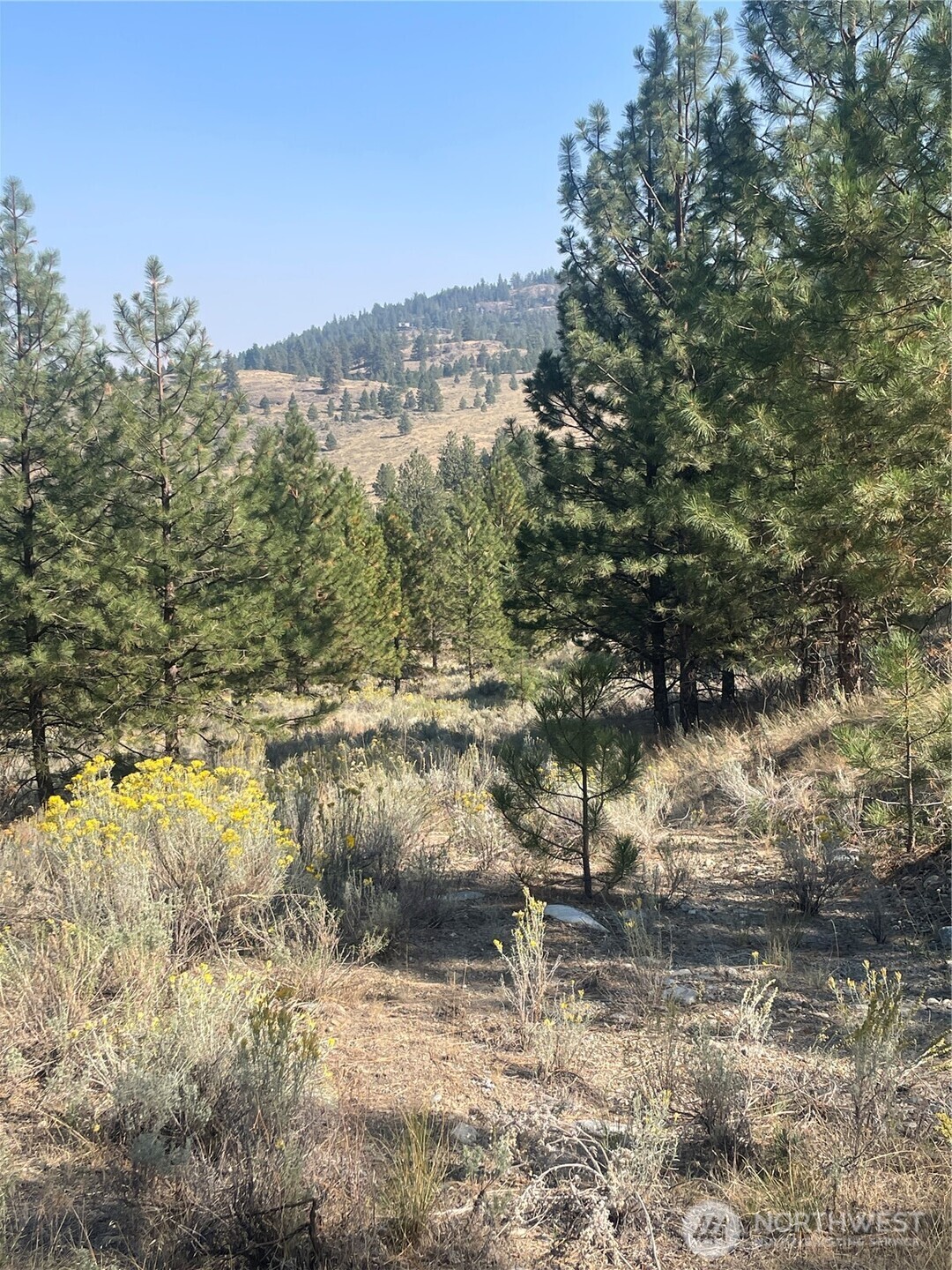 0 Tbd Reevas Basin Road Property Photo 20