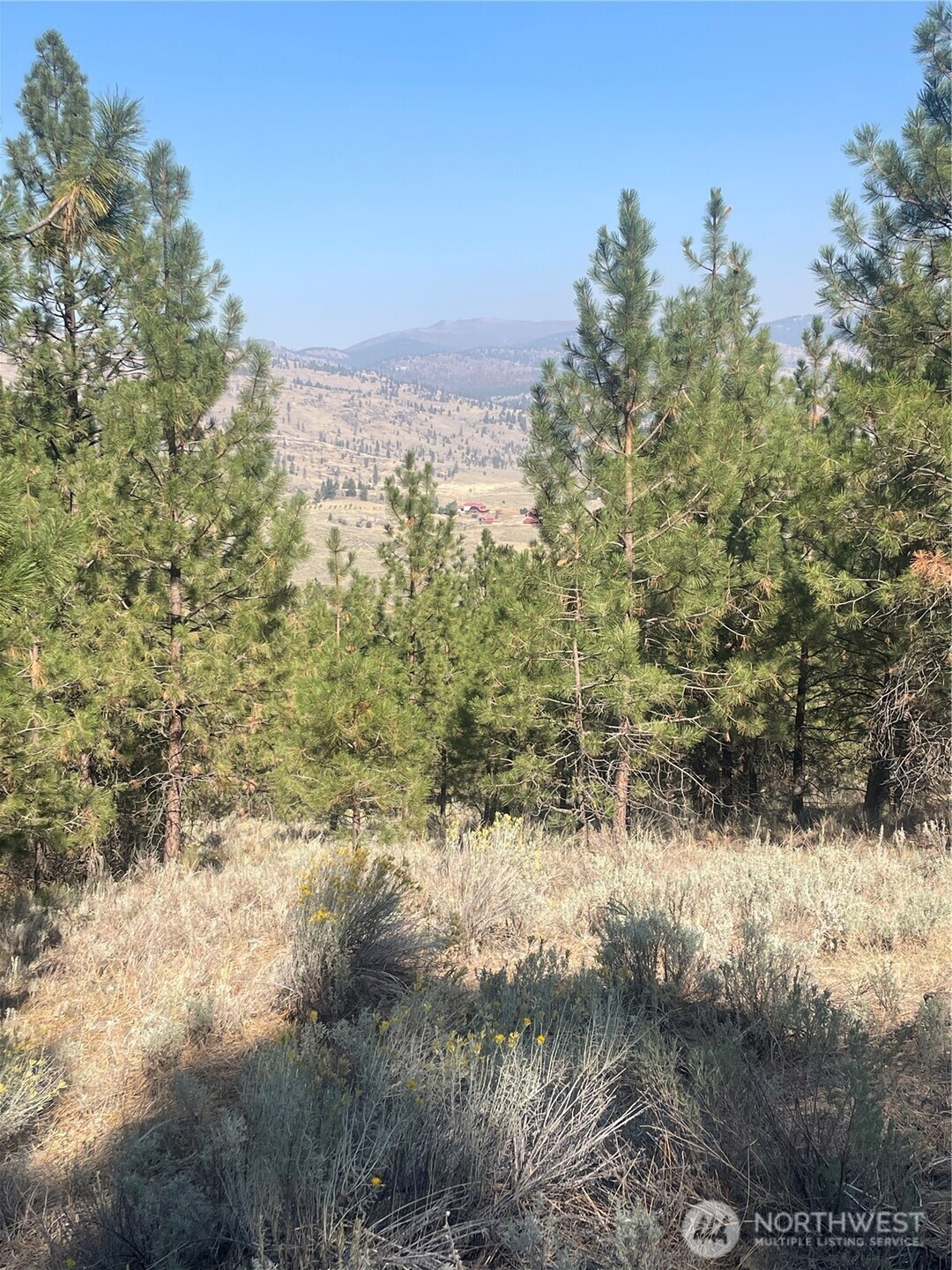 0 Tbd Reevas Basin Road Property Photo 21