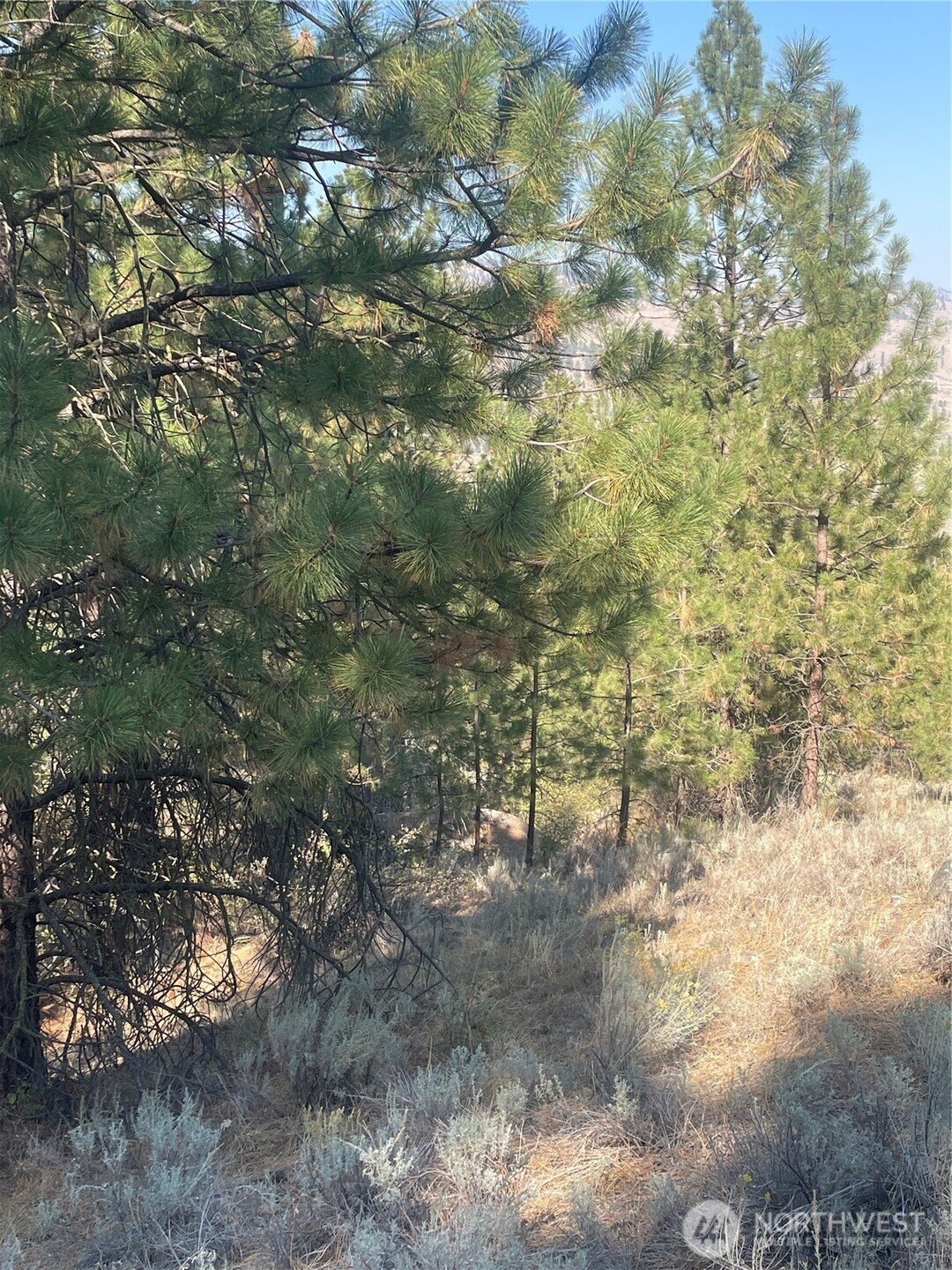 0 Tbd Reevas Basin Road Property Photo 22