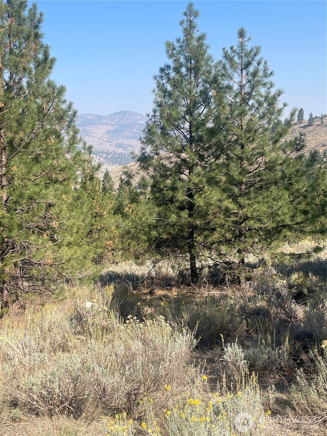 0 Tbd Reevas Basin Road Property Photo 23