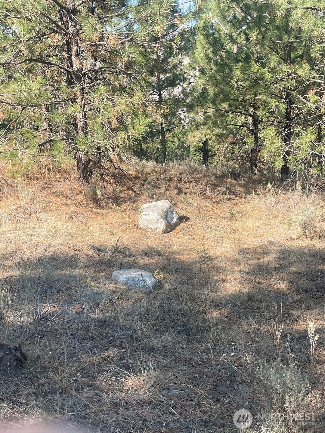 0 Tbd Reevas Basin Road Property Photo 25