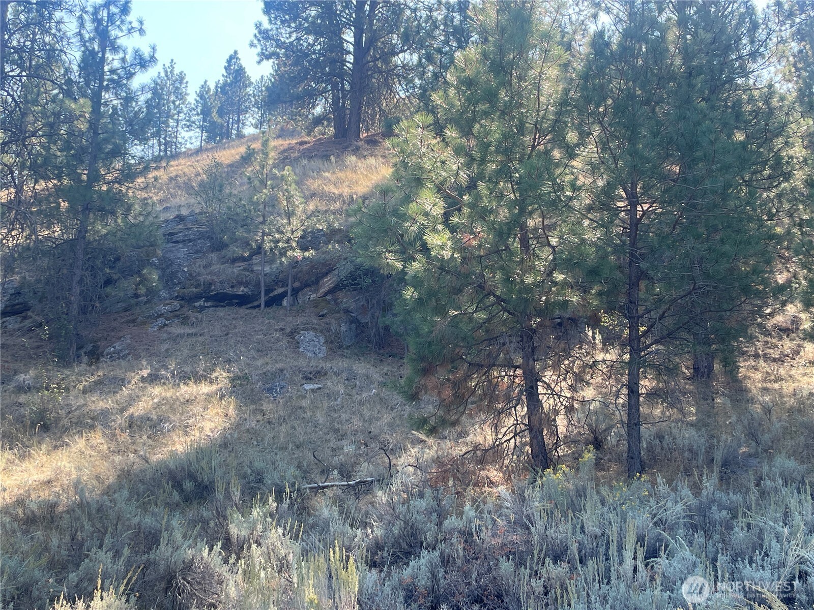 0 Tbd Reevas Basin Road Property Photo 26