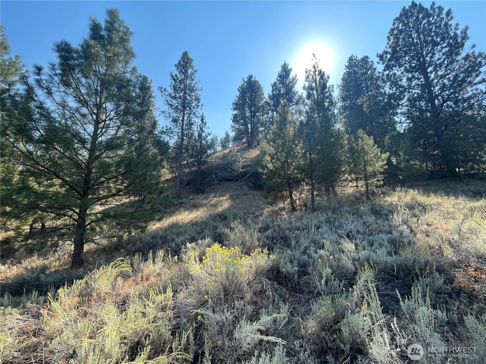0 Tbd Reevas Basin Road Property Photo 27