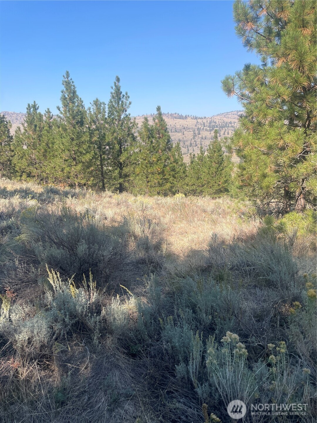 0 Tbd Reevas Basin Road Property Photo 28