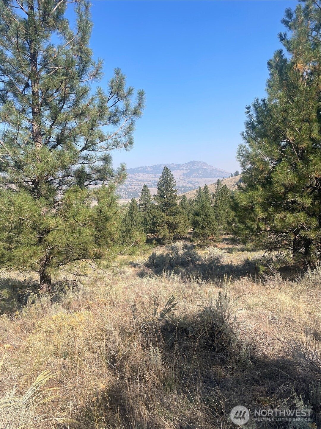0 Tbd Reevas Basin Road Property Photo 29