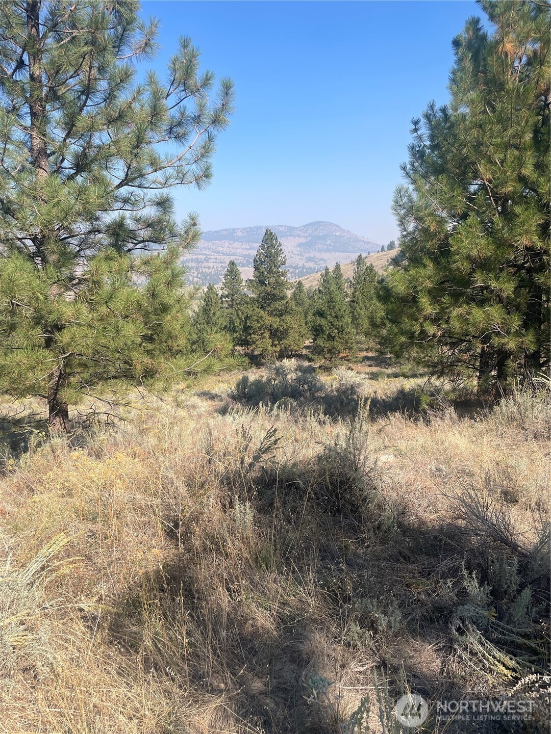0 Tbd Reevas Basin Road Property Photo 30