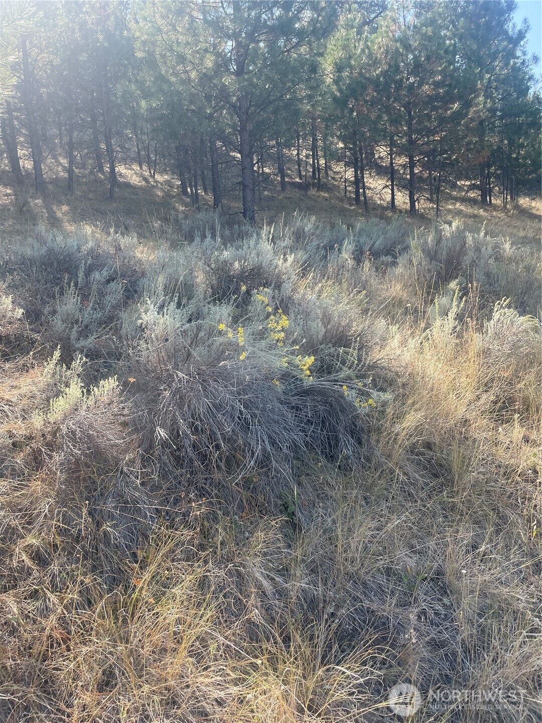 0 Tbd Reevas Basin Road Property Photo 31