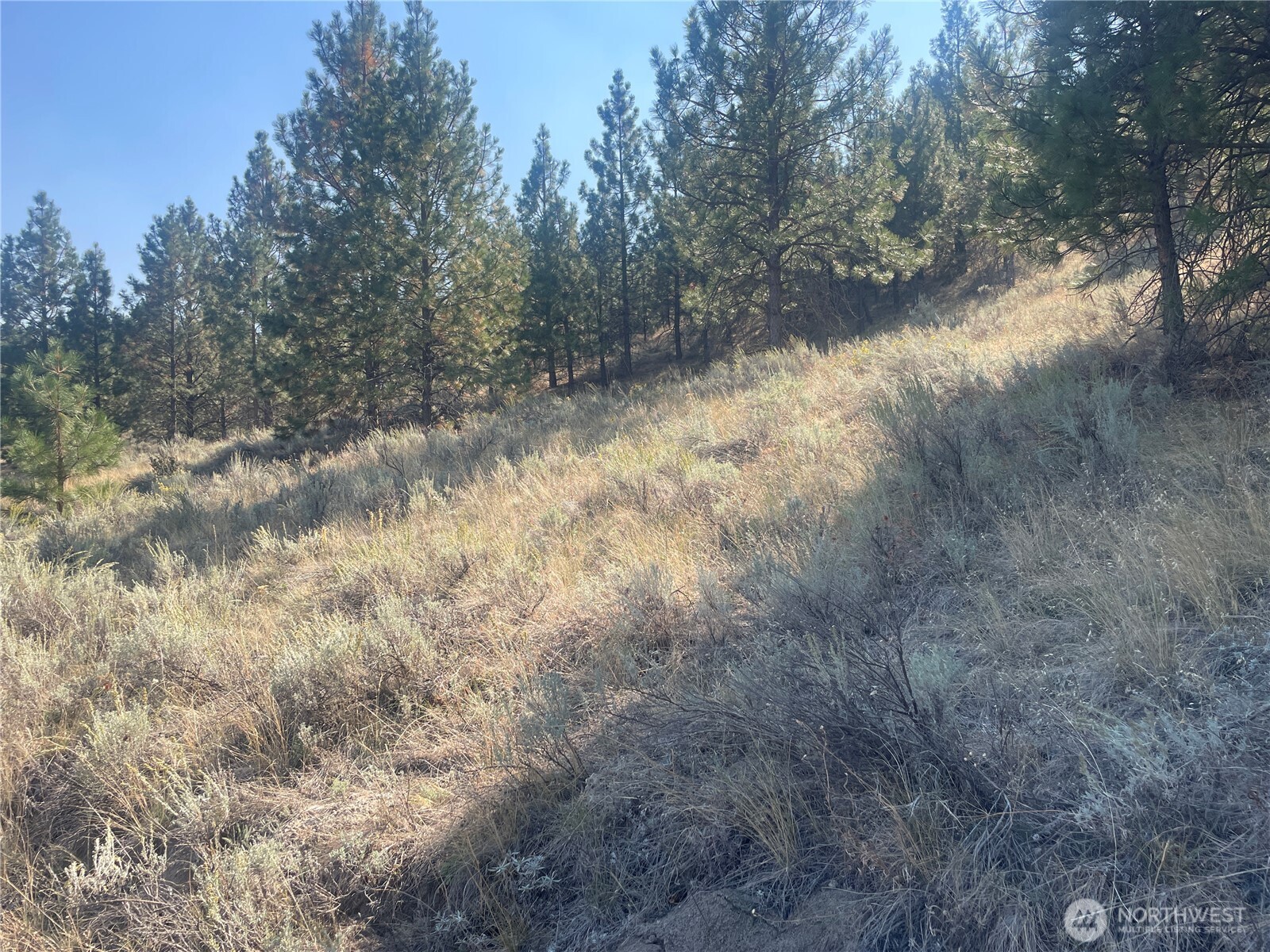 0 Tbd Reevas Basin Road Property Photo 33