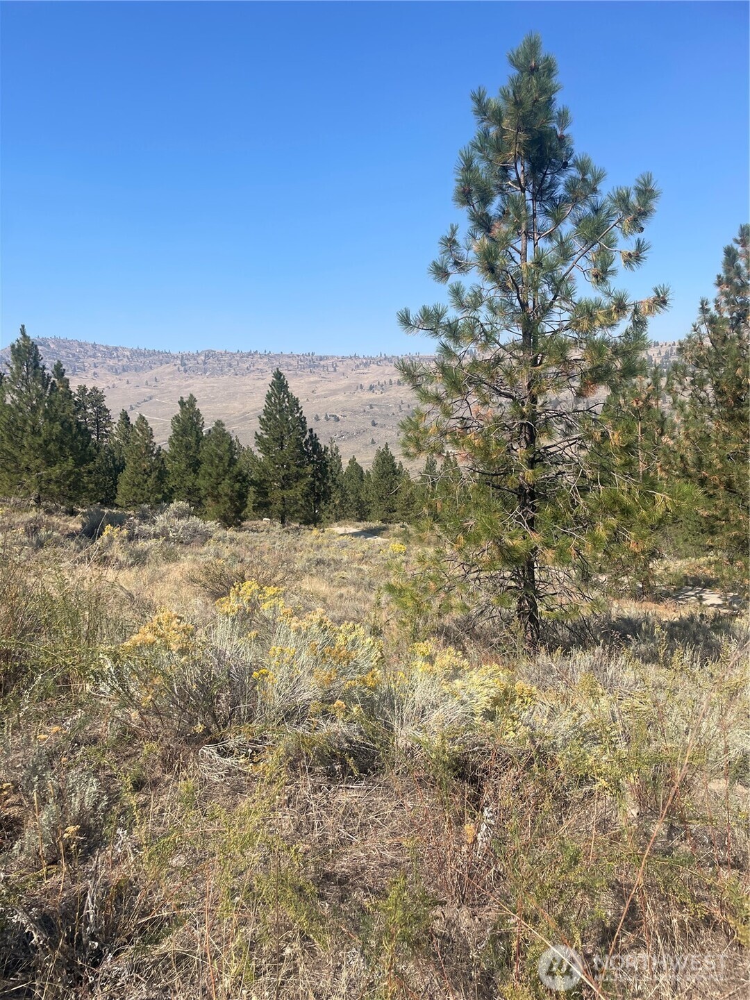 0 Tbd Reevas Basin Road Property Photo 34
