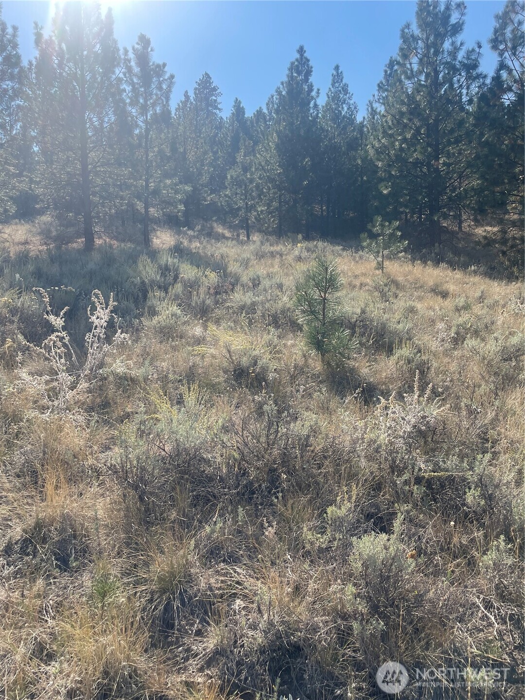 0 Tbd Reevas Basin Road Property Photo 35
