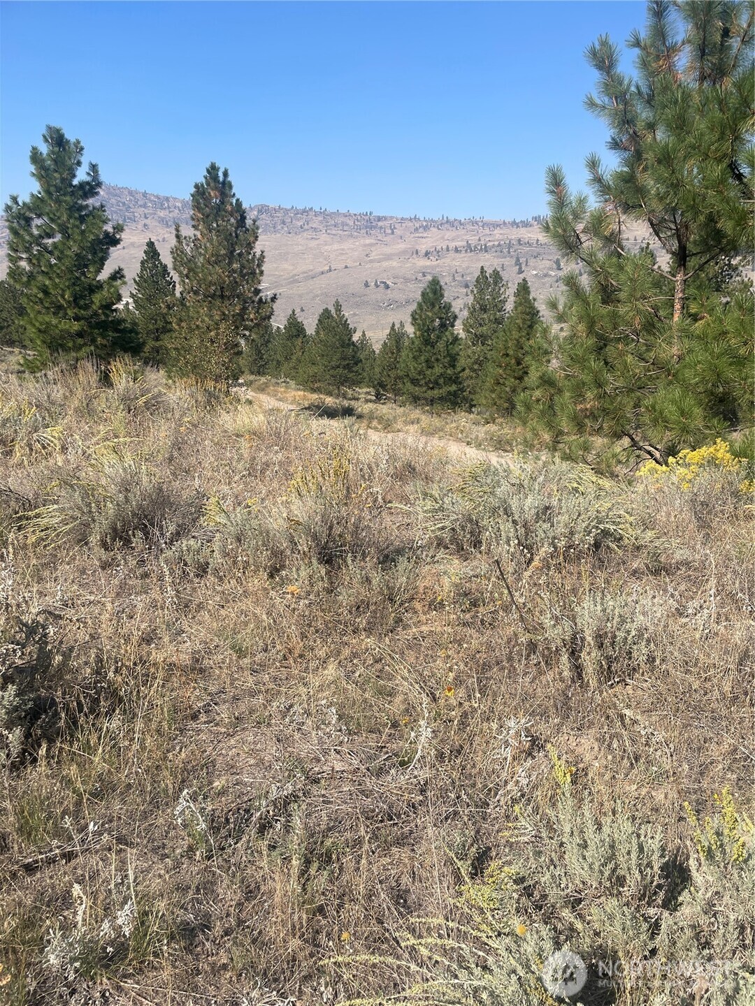 0 Tbd Reevas Basin Road Property Photo 36