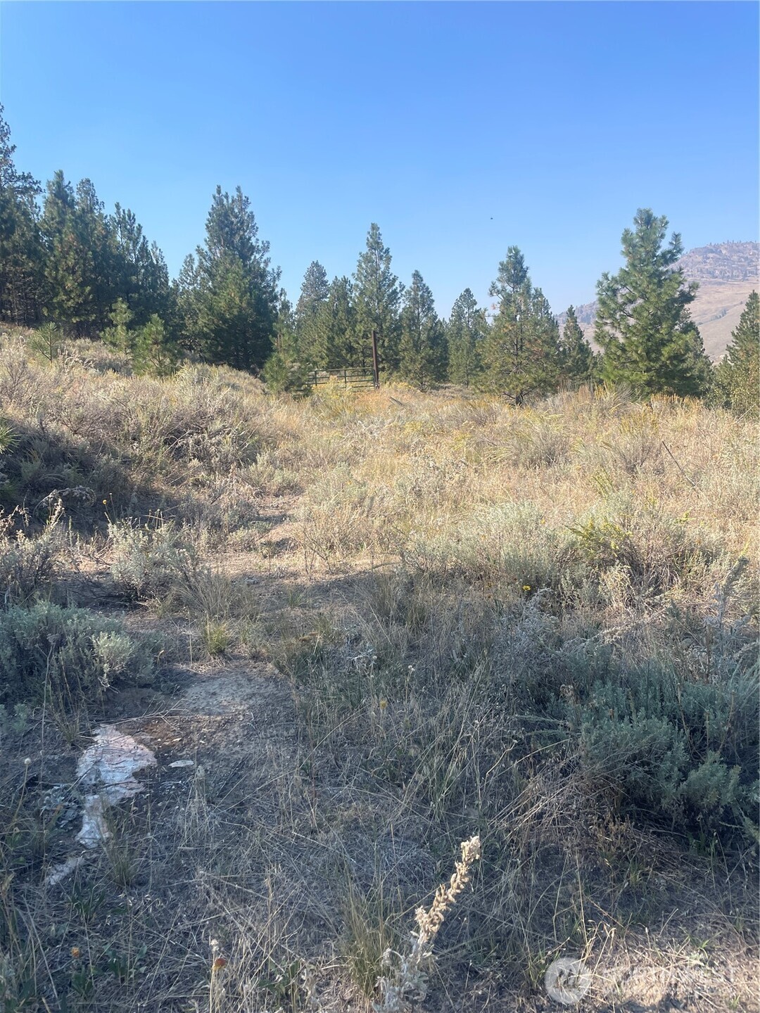 0 Tbd Reevas Basin Road Property Photo 37