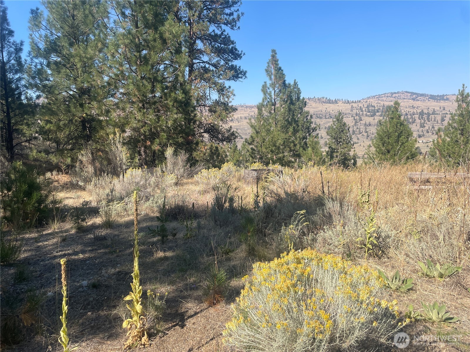 0 Tbd Reevas Basin Road Property Photo 38