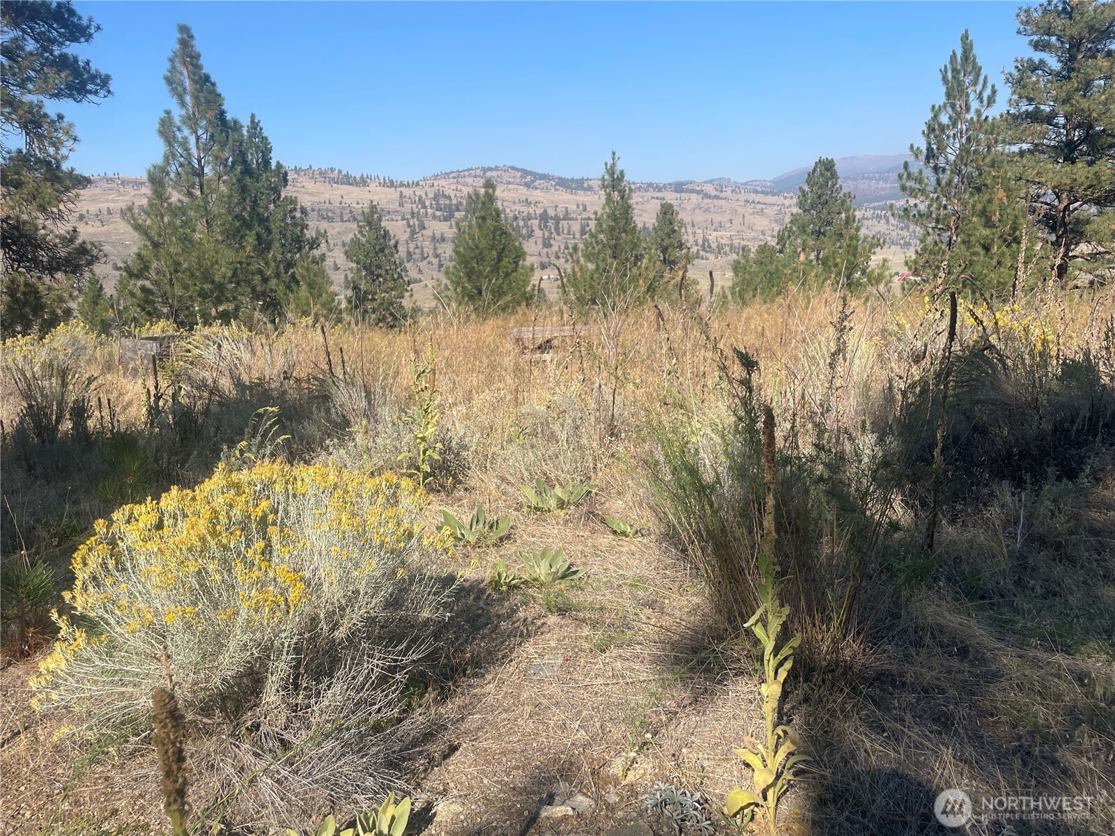 0 Tbd Reevas Basin Road Property Photo 39