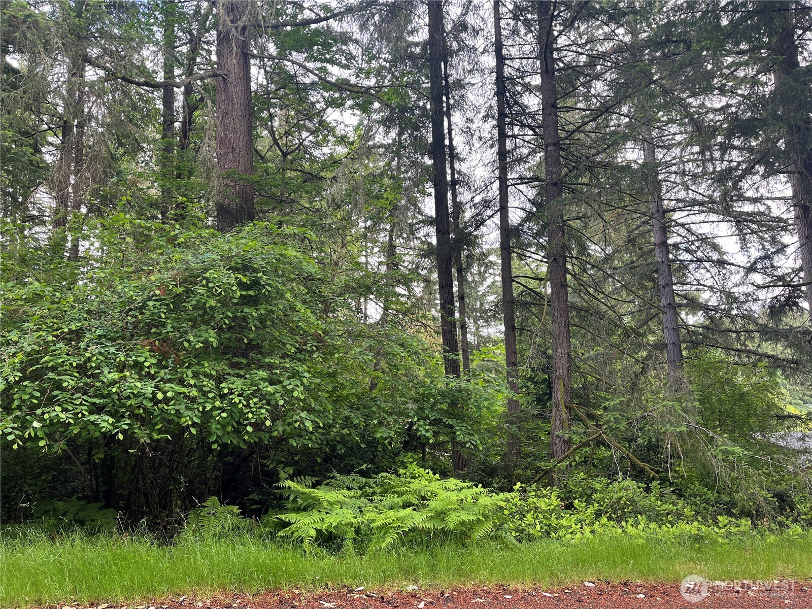 11111 Juniper Place Property Photo 13