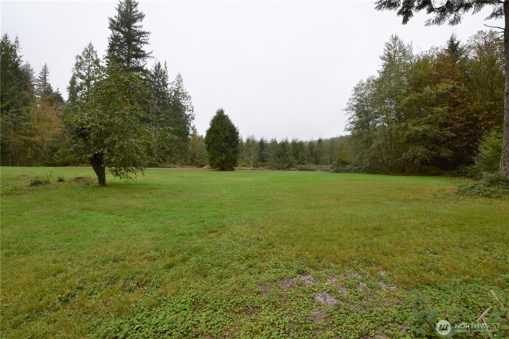 30331 Heimer Road Property Photo 20