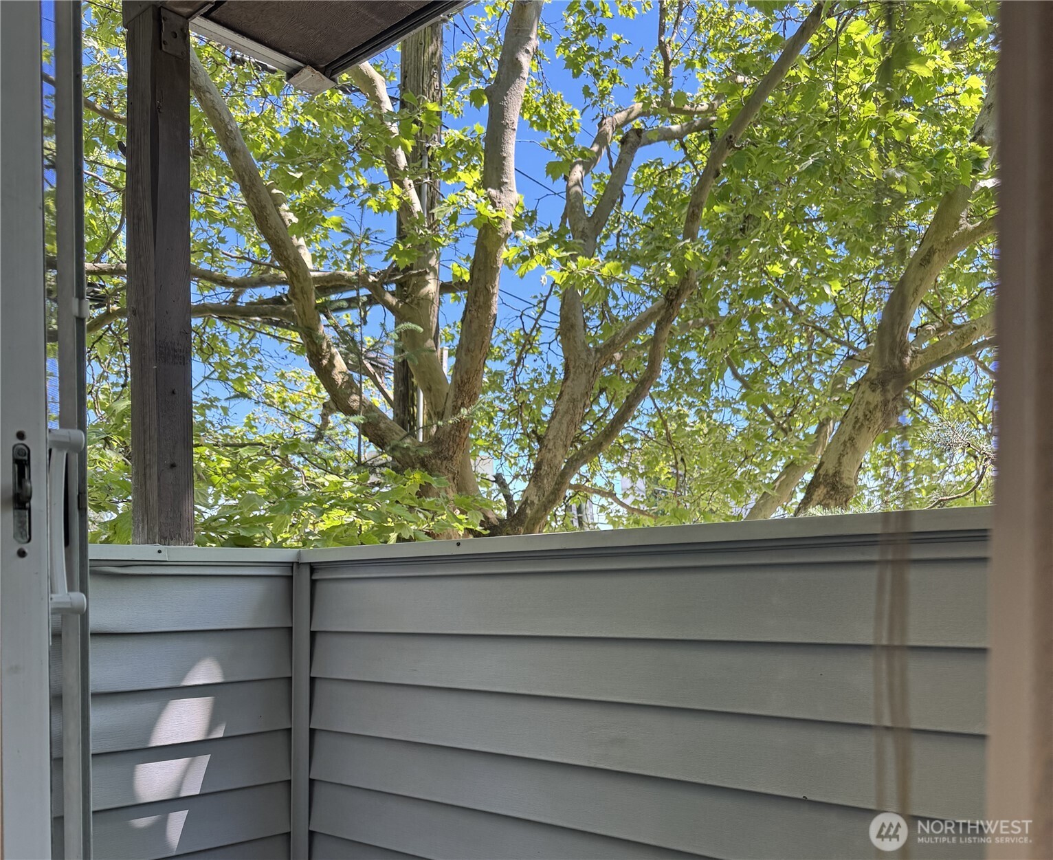 555 N 105th Street 202 Property Photo 5