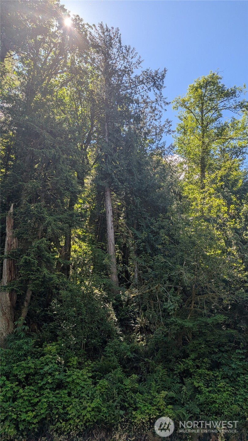 0 St. Route 508 Highway Property Photo 1