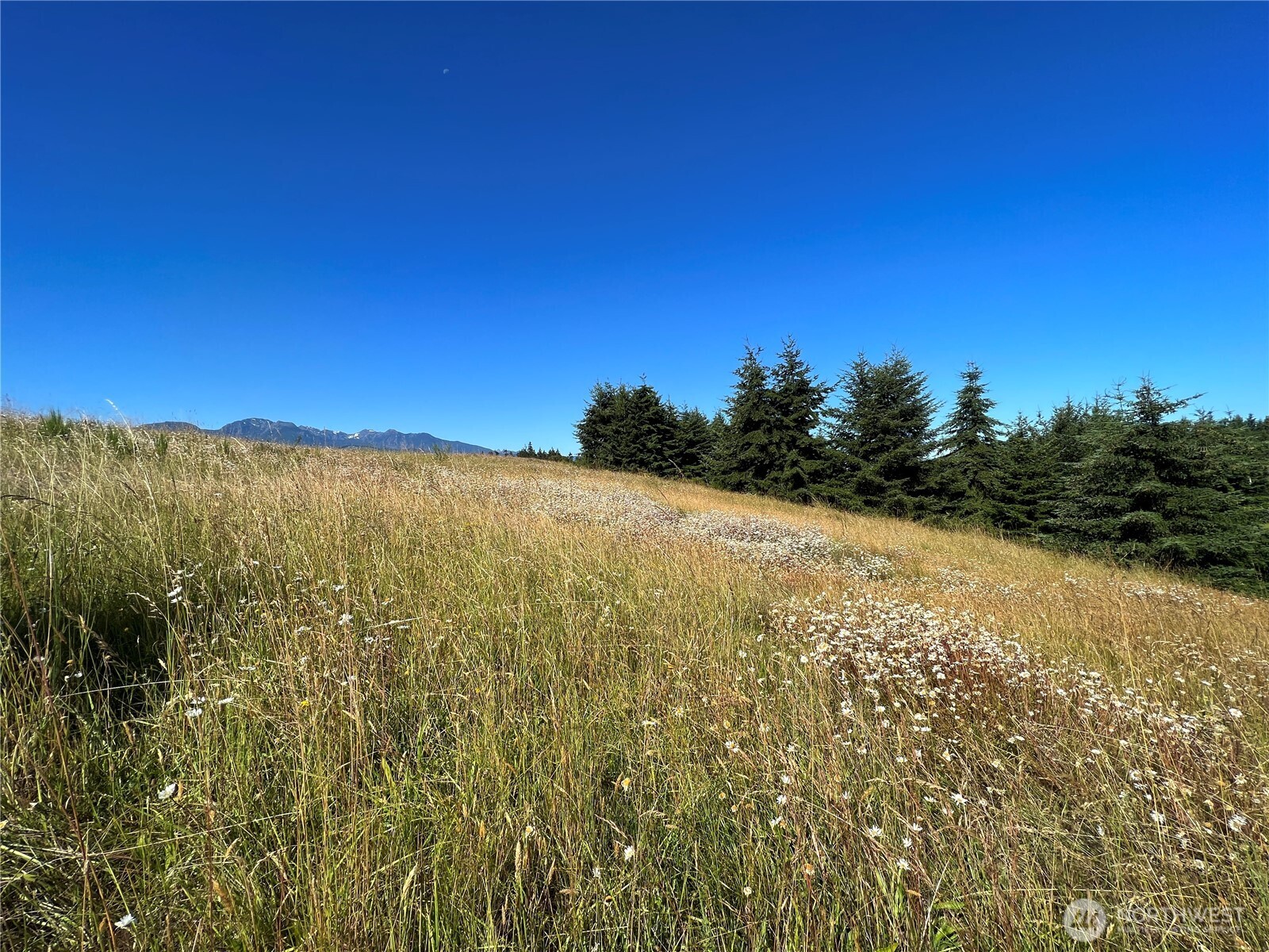 9999 Olympic Meadows, Parcel 11 Property Photo 5