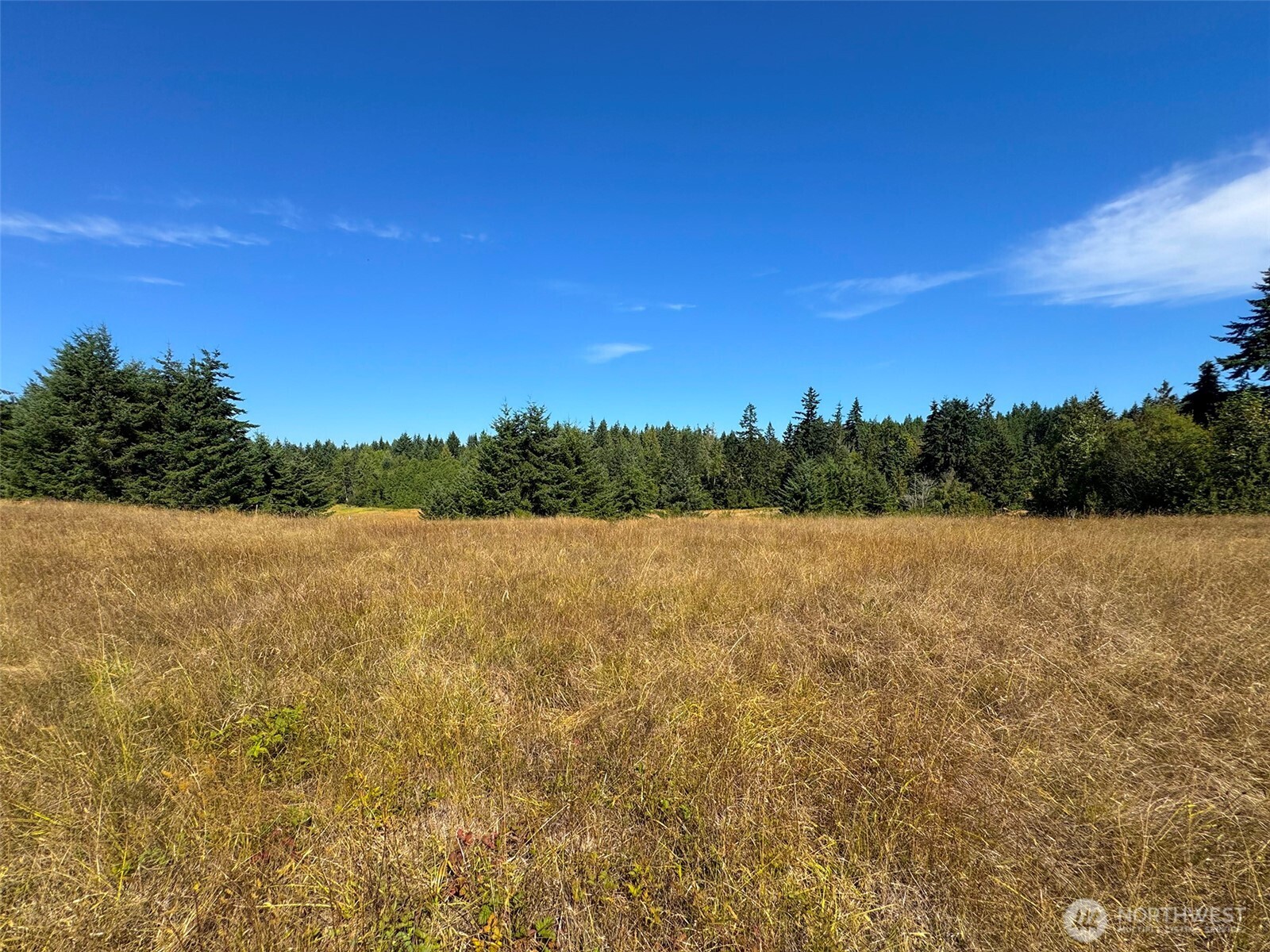 9999 Olympic Meadows, Parcel 11 Property Photo 10