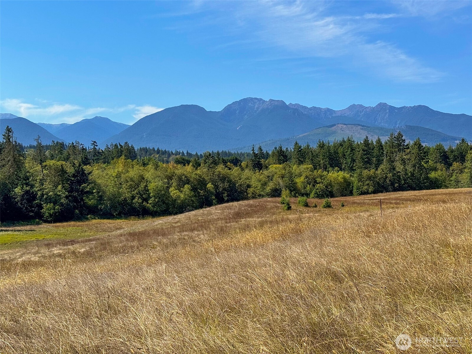 9999 Olympic Meadows, Parcel 11 Property Photo 11