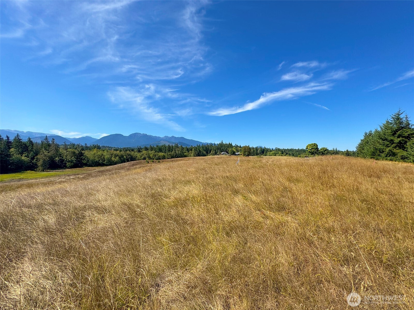 9999 Olympic Meadows, Parcel 11 Property Photo 16