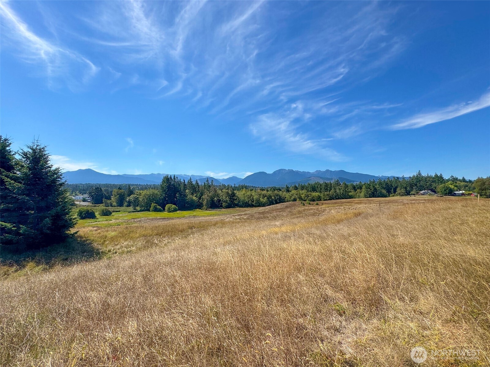 9999 Olympic Meadows, Parcel 11 Property Photo 17