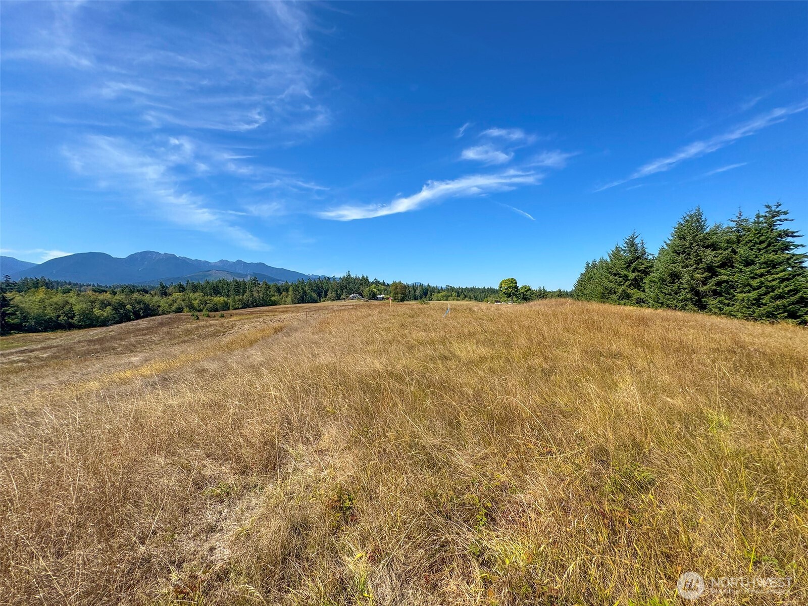9999 Olympic Meadows, Parcel 11 Property Photo 18