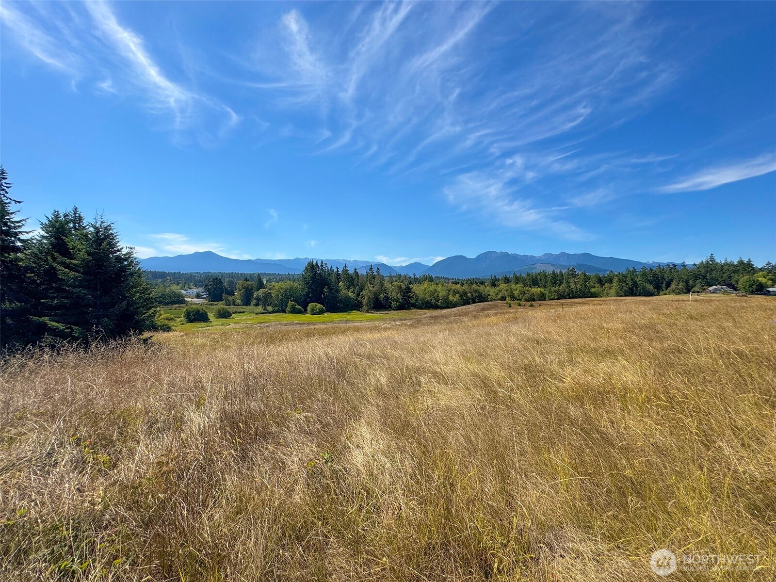 9999 Olympic Meadows, Parcel 11 Property Photo 19