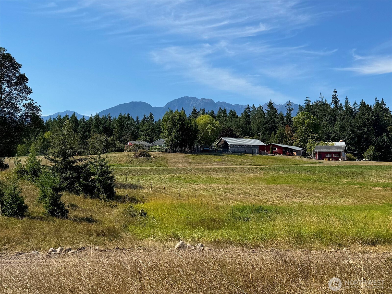 9999 Olympic Meadows Parcel 10 Property Photo 6