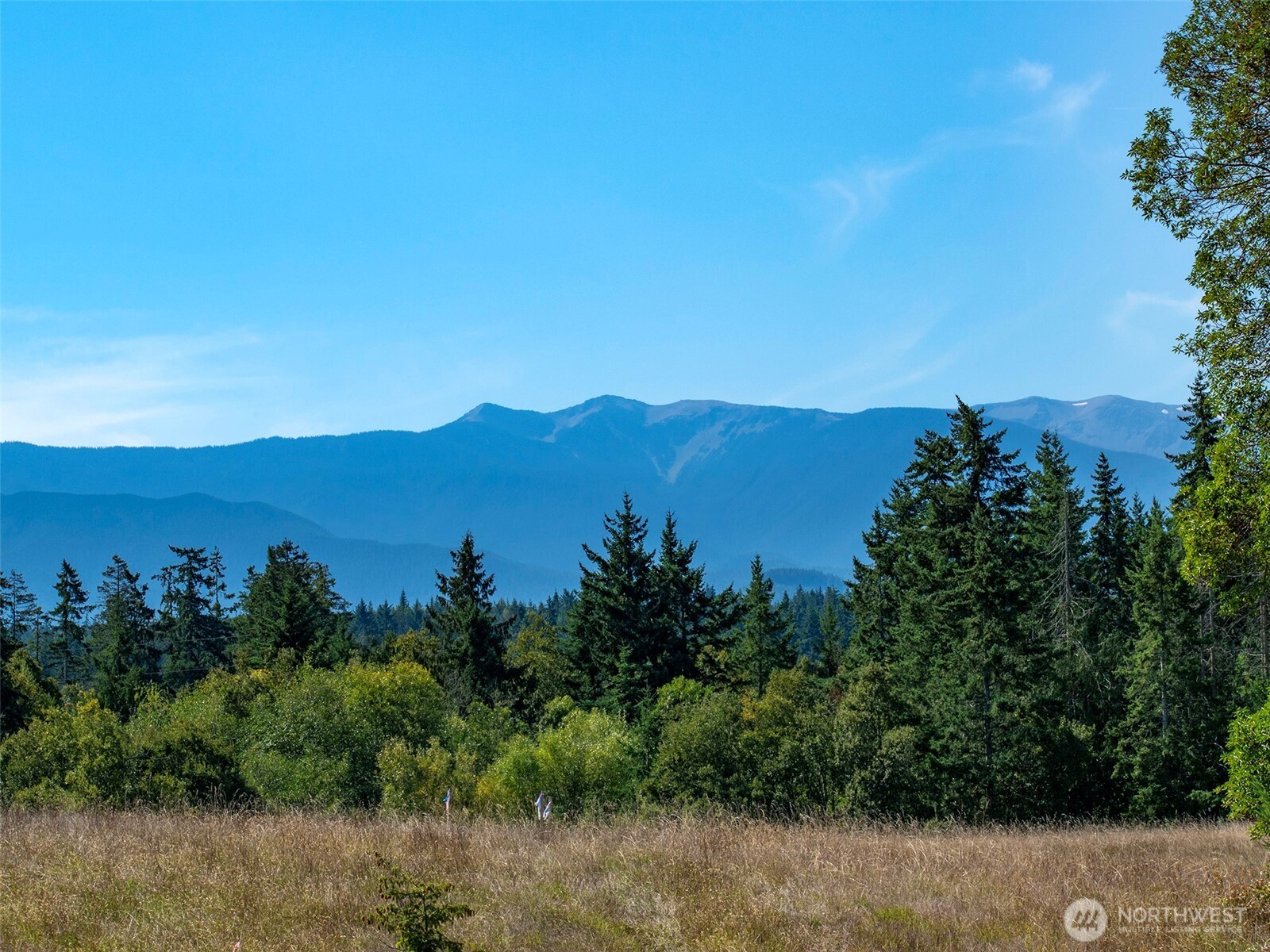 9999 Olympic Meadows Parcel 10 Property Photo 10