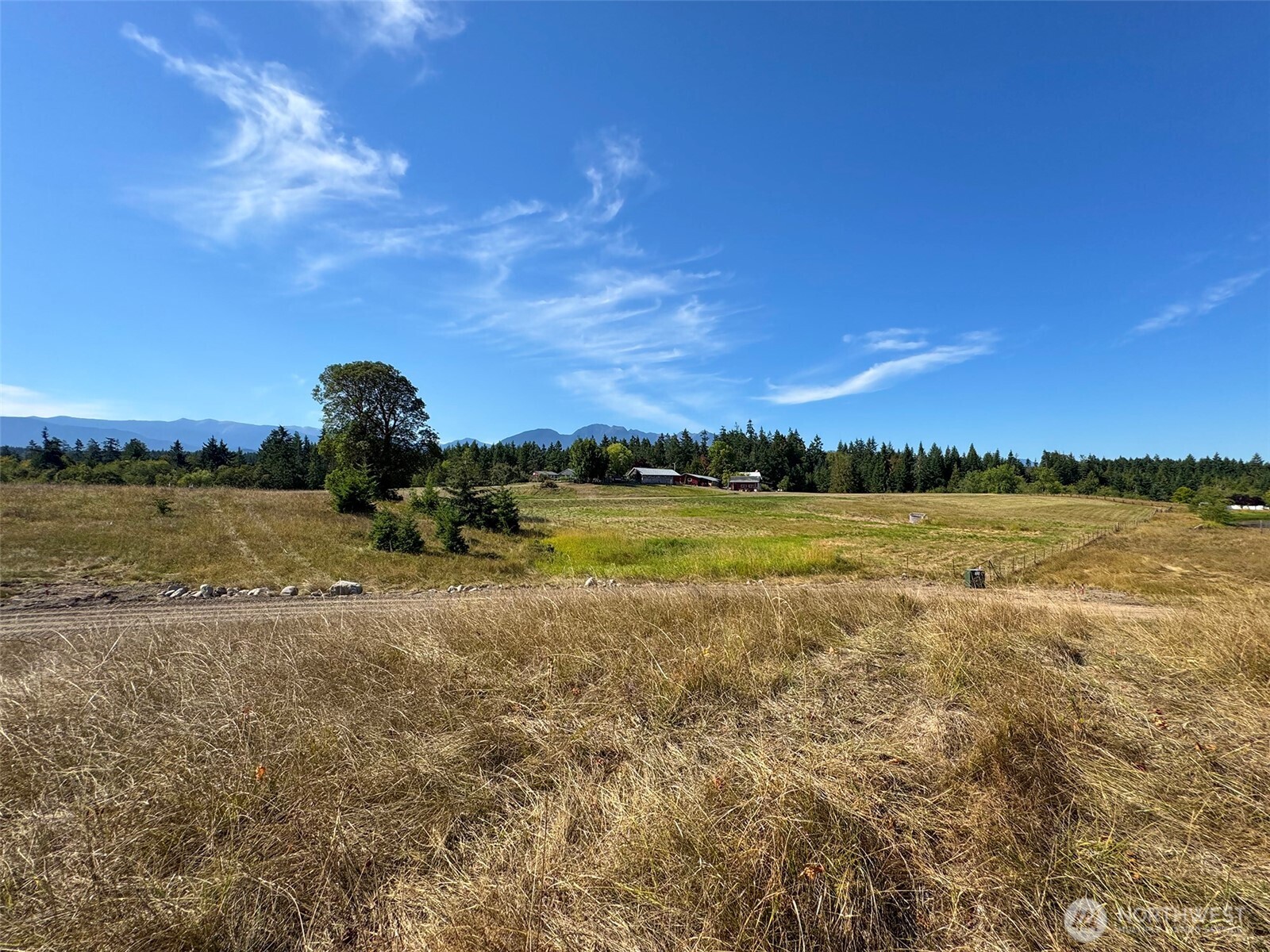 9999 Olympic Meadows Parcel 10 Property Photo 11