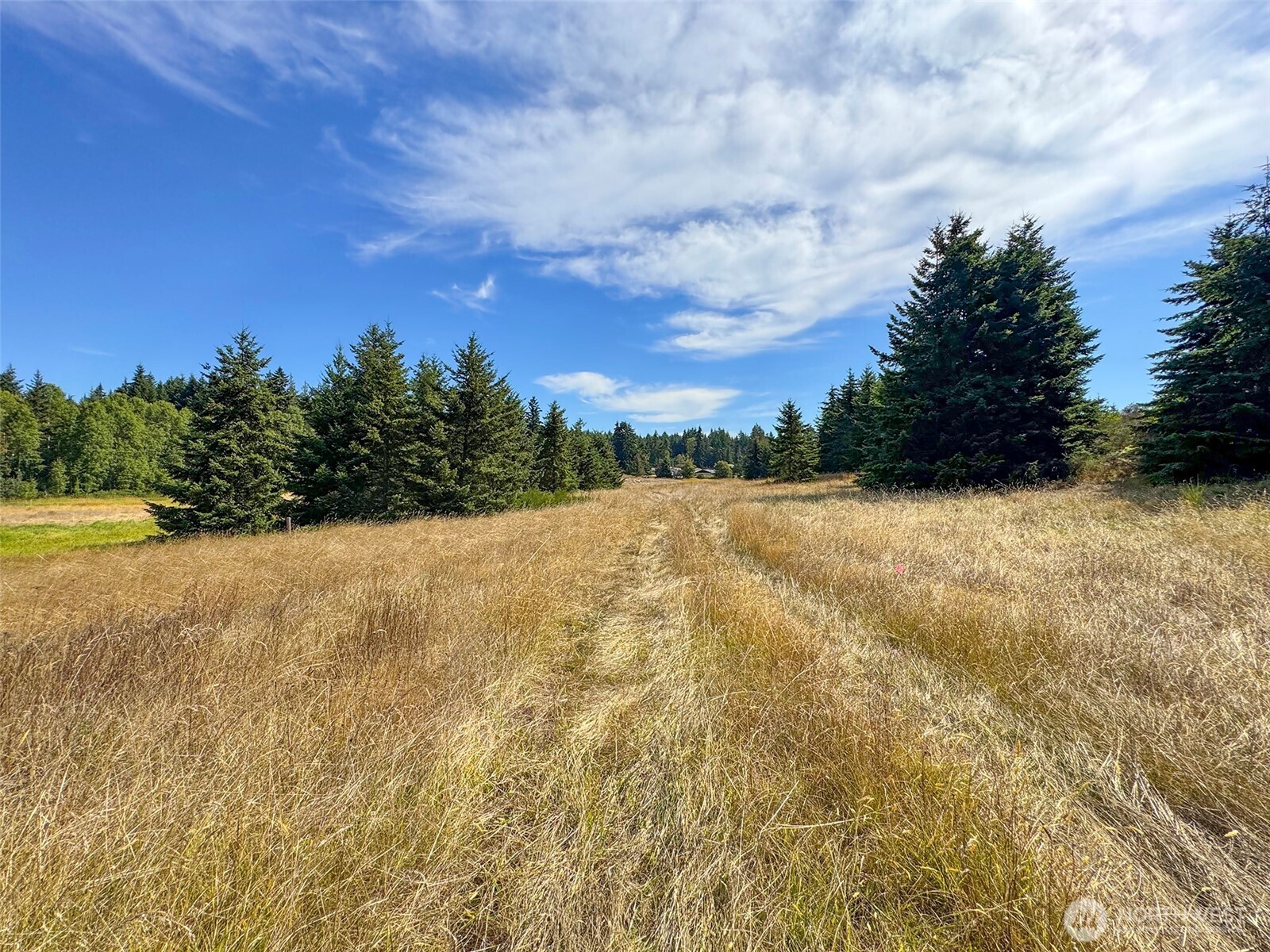 9999 Olympic Meadows Parcel 10 Property Photo 12