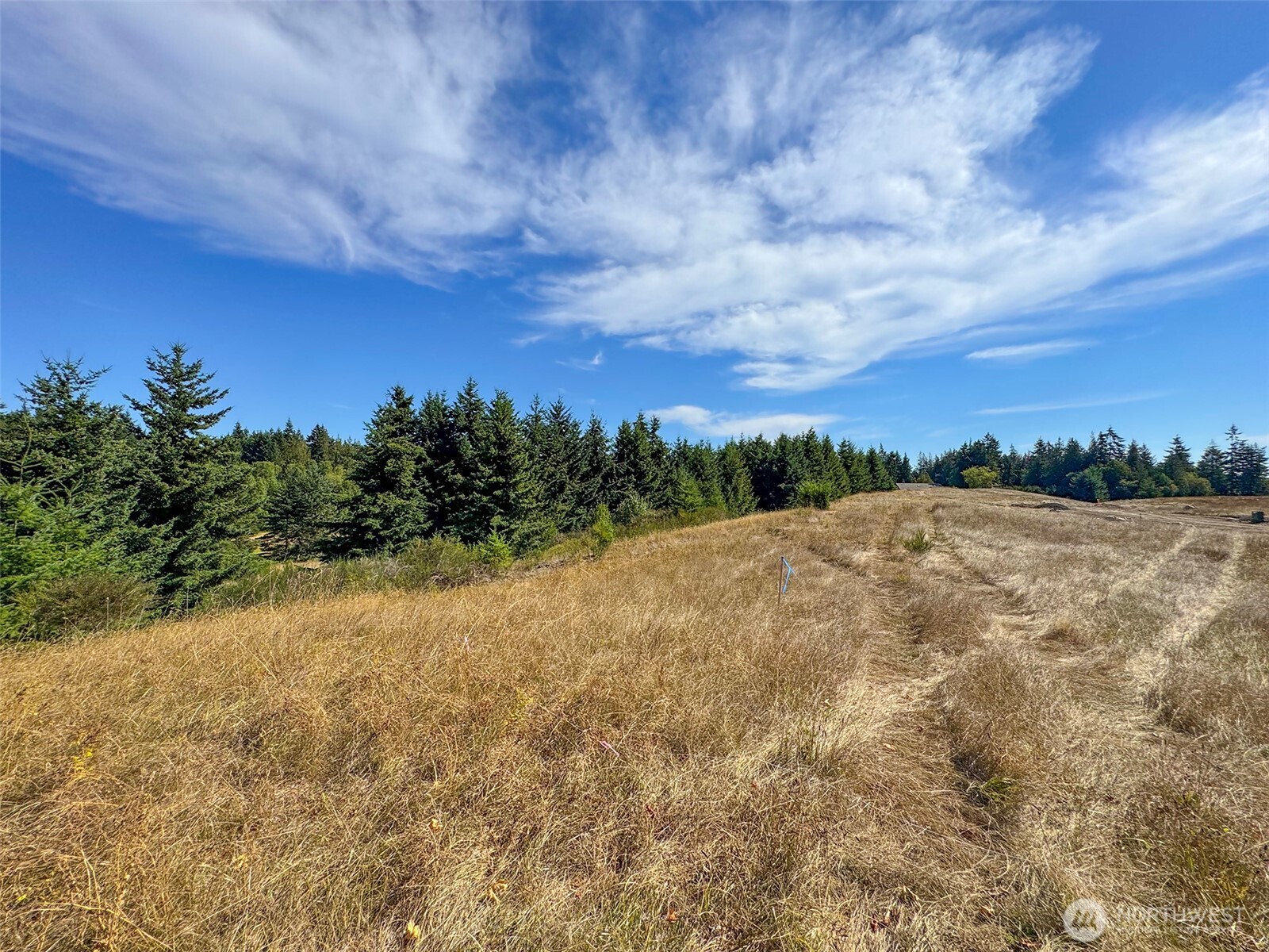 9999 Olympic Meadows Parcel 10 Property Photo 13