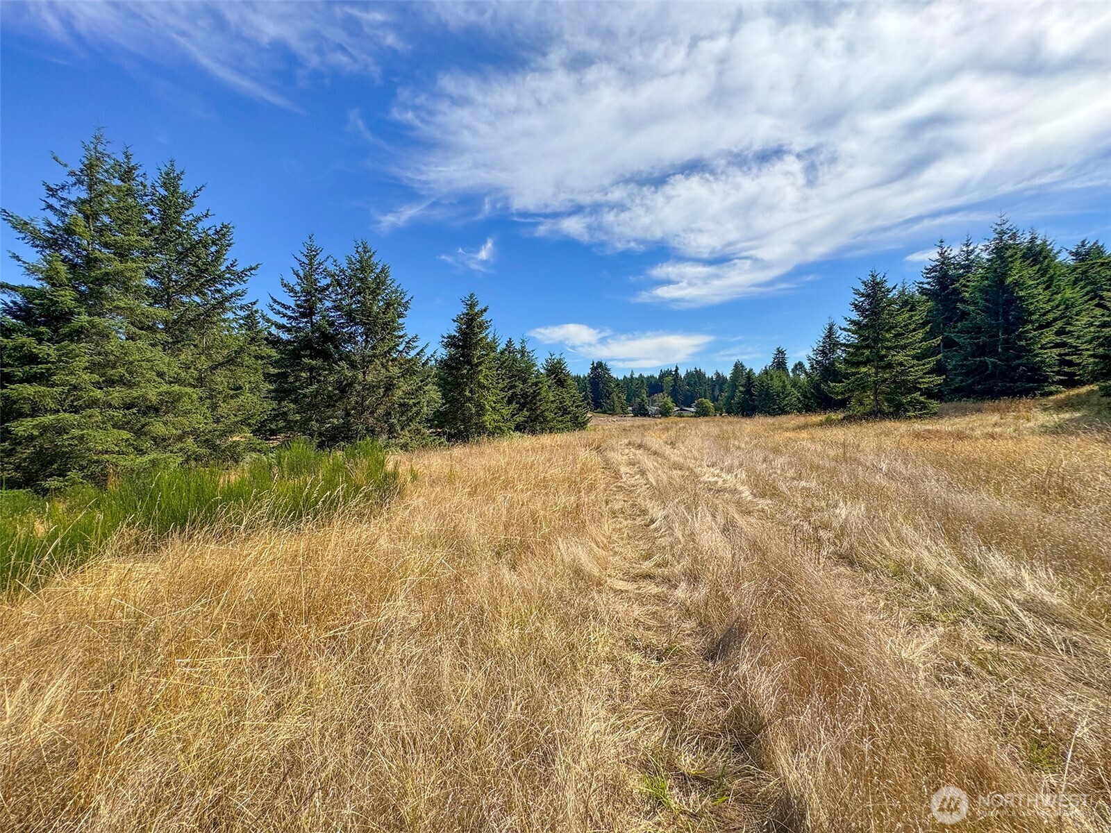 9999 Olympic Meadows Parcel 10 Property Photo 16