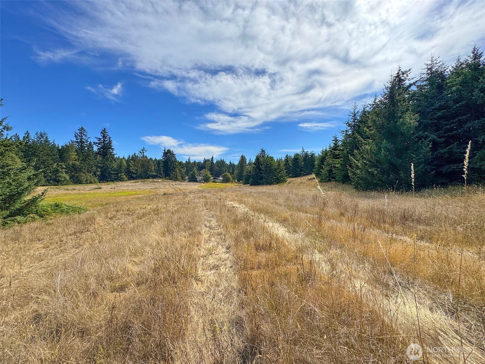 9999 Olympic Meadows Parcel 10 Property Photo 17
