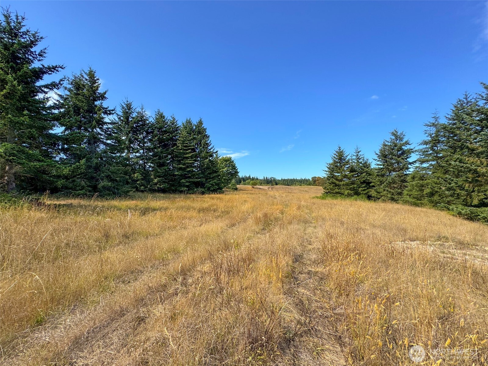 9999 Olympic Meadows Parcel 10 Property Photo 18
