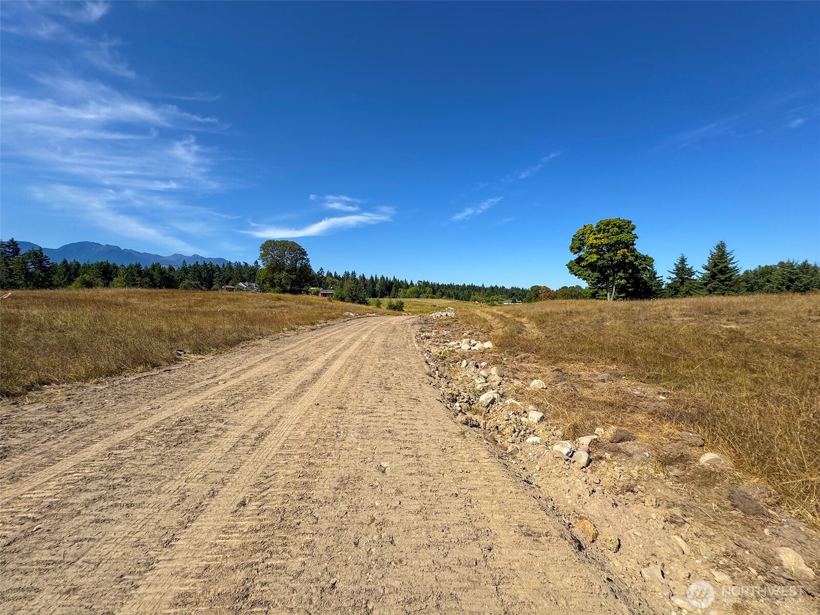 9999 Olympic Meadows Parcel 10 Property Photo 21