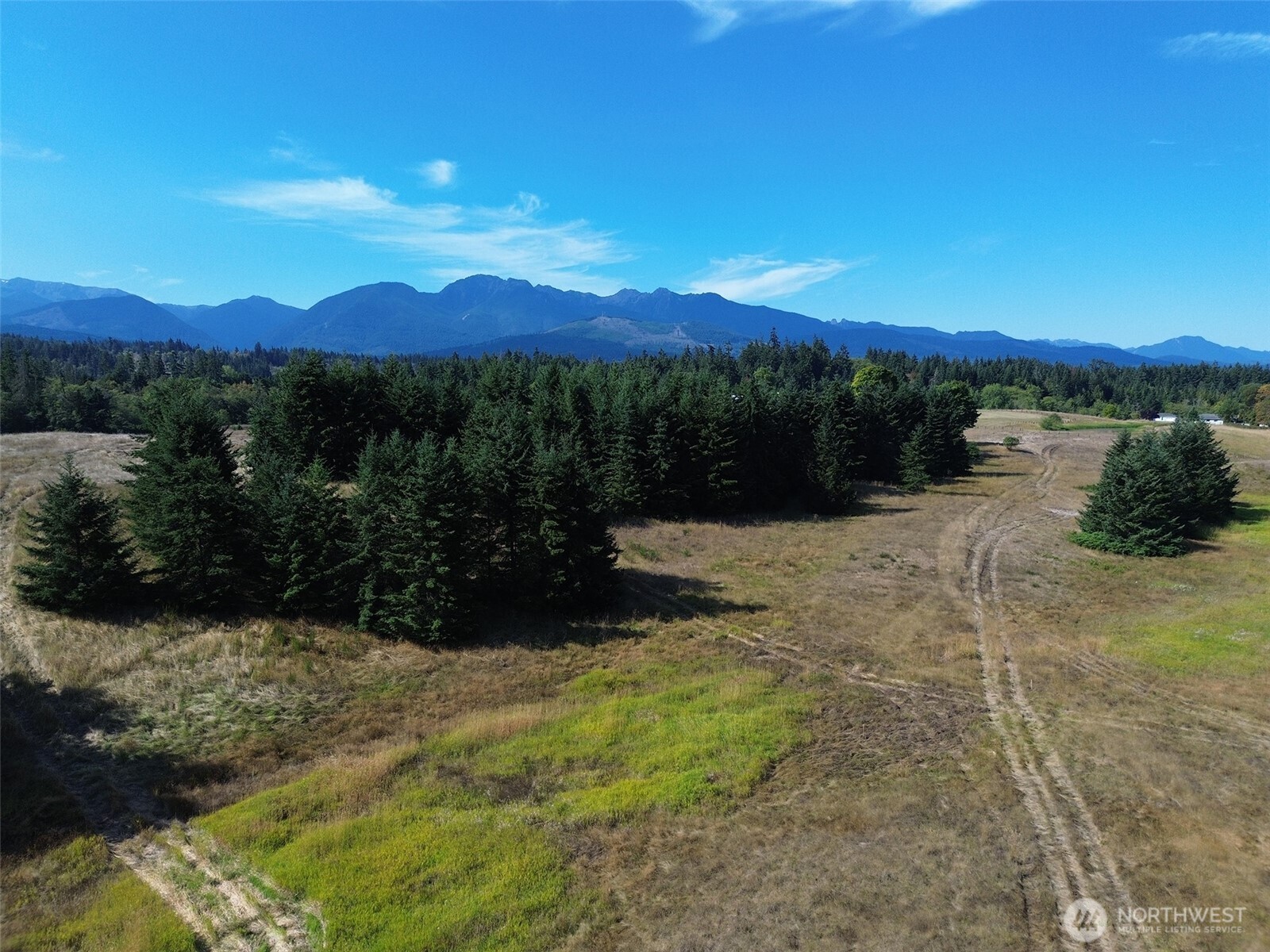 9999 Olympic Meadows Parcel 10 Property Photo 24