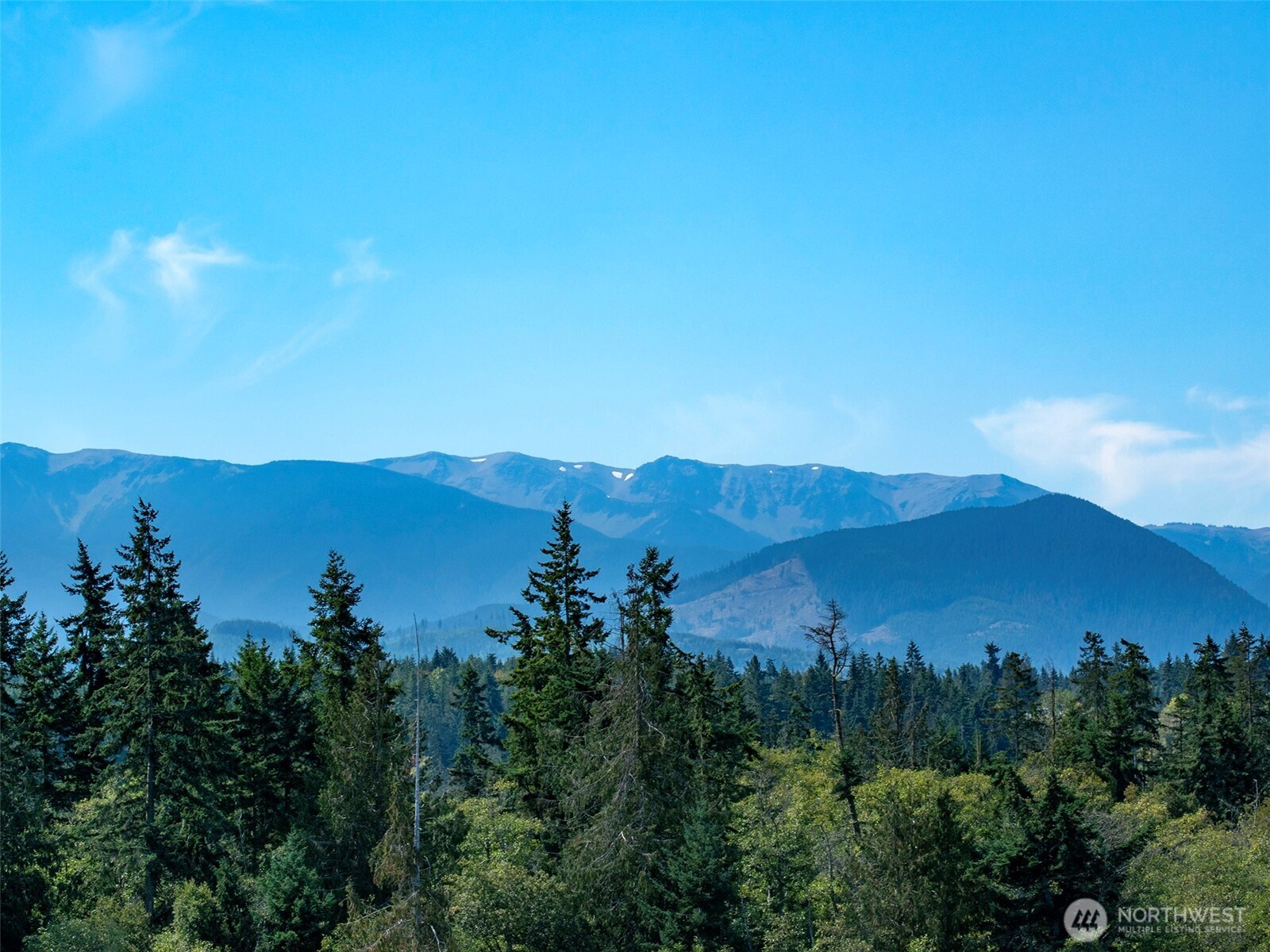9999 Olympic Meadows Parcel 10 Property Photo 29