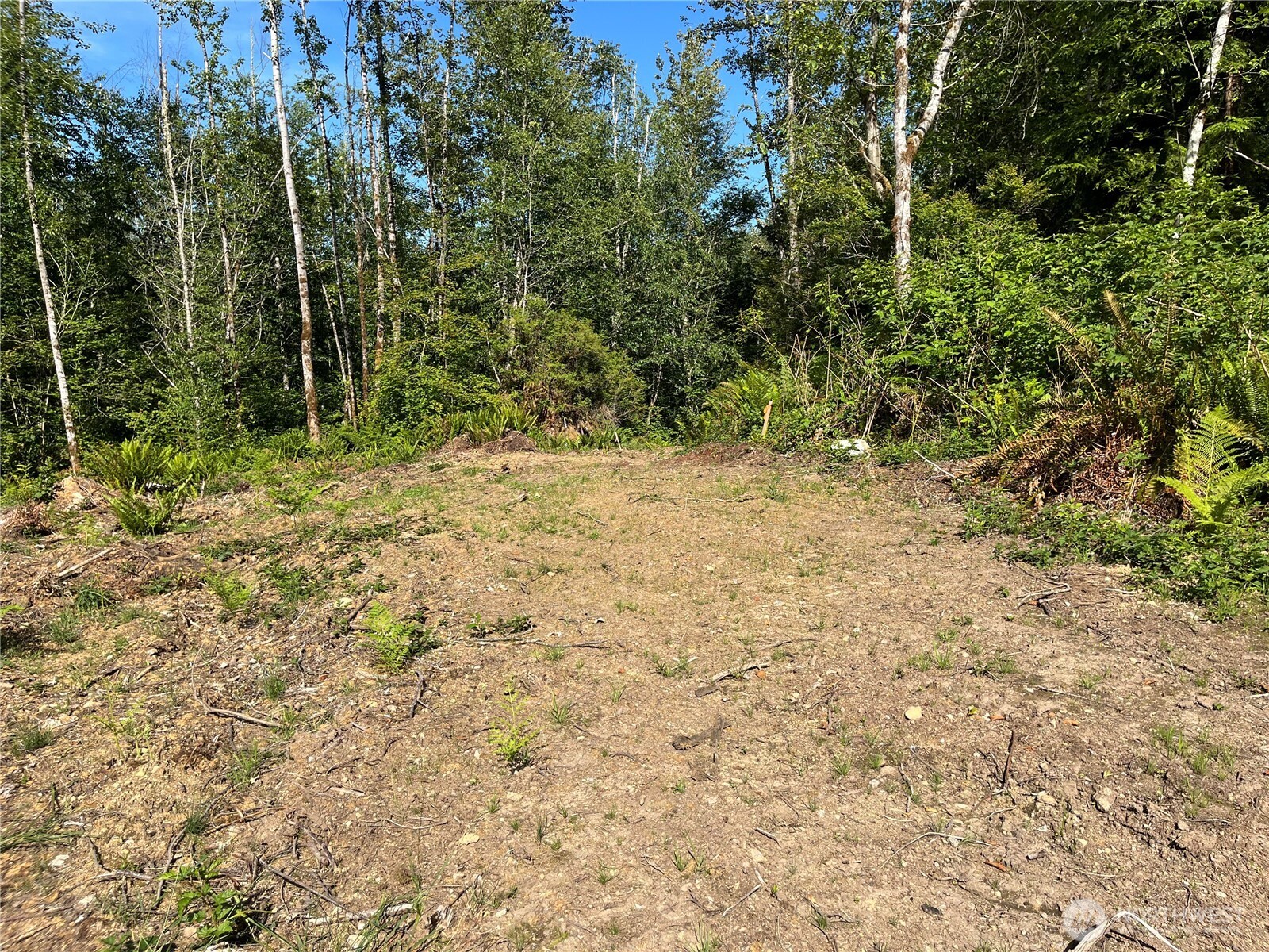 4613 182nd Drive Property Photo 2