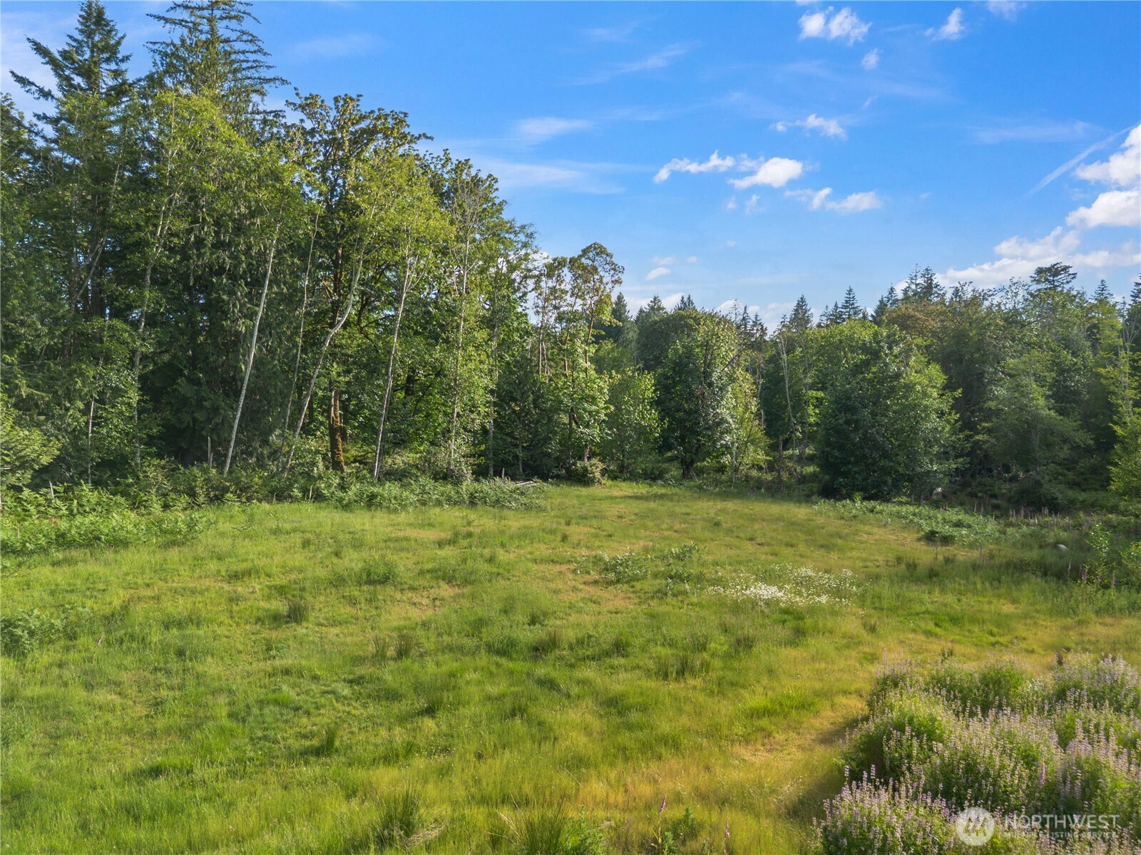 641 E Jared Road Property Photo 1