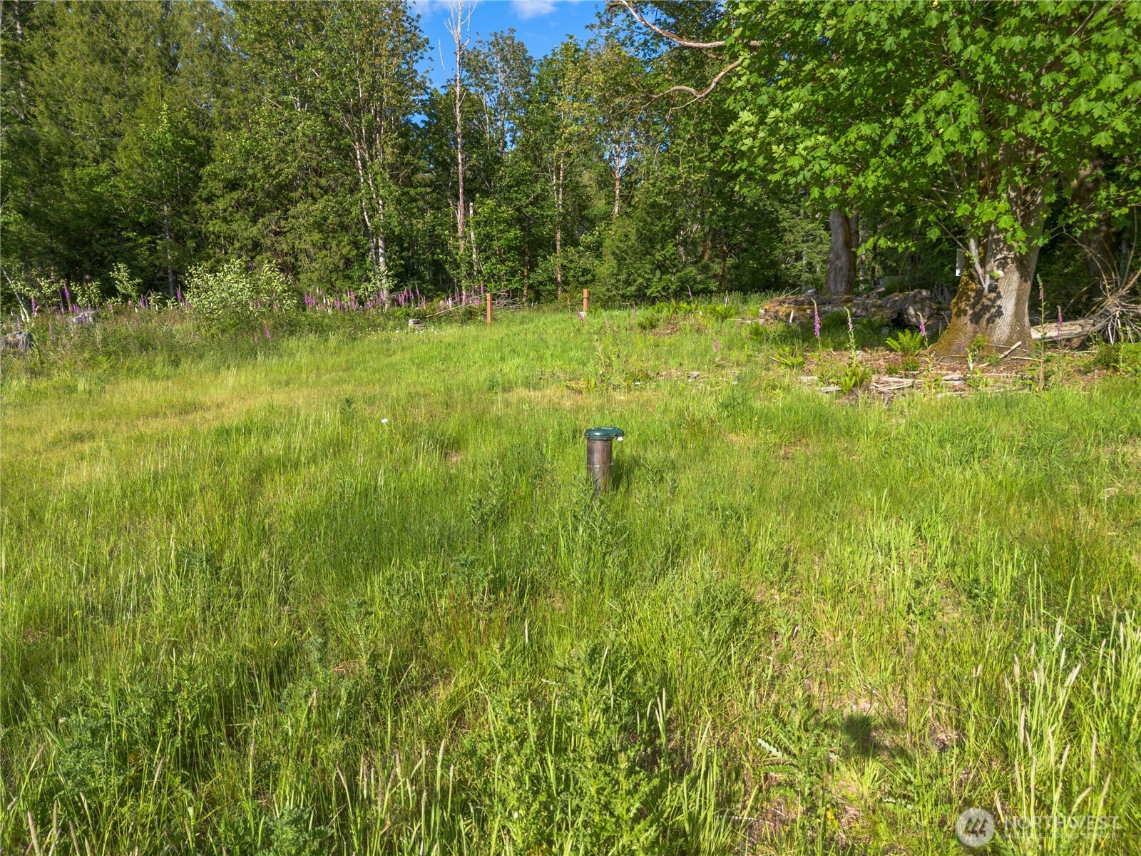 641 E Jared Road Property Photo 7