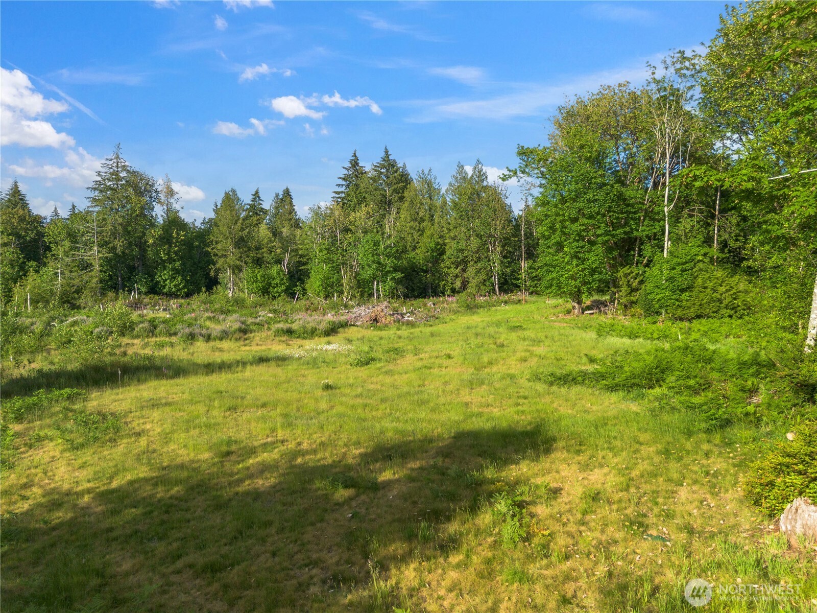 641 E Jared Road Property Photo 8