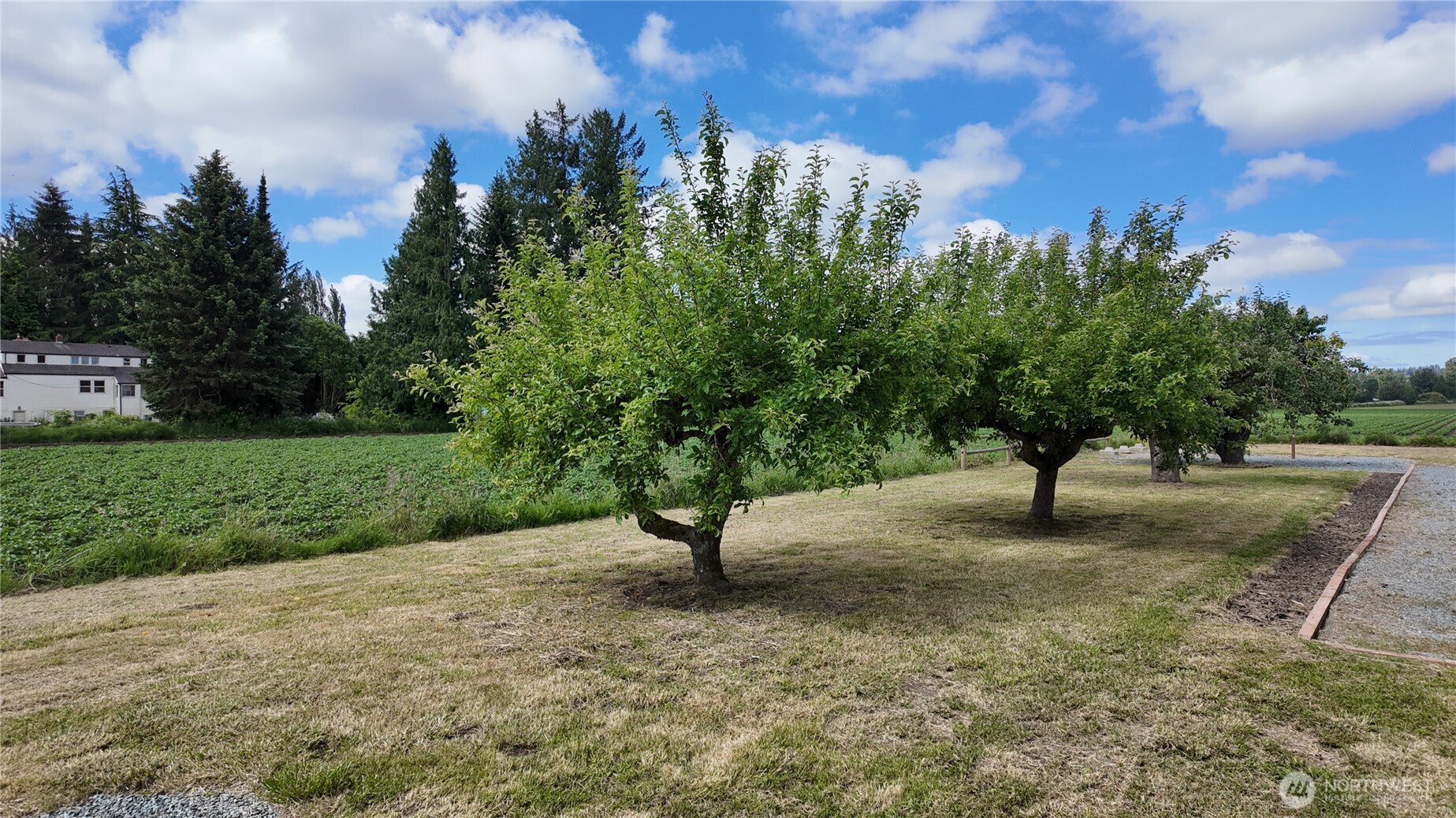 11132 Sterling Road Property Photo 26