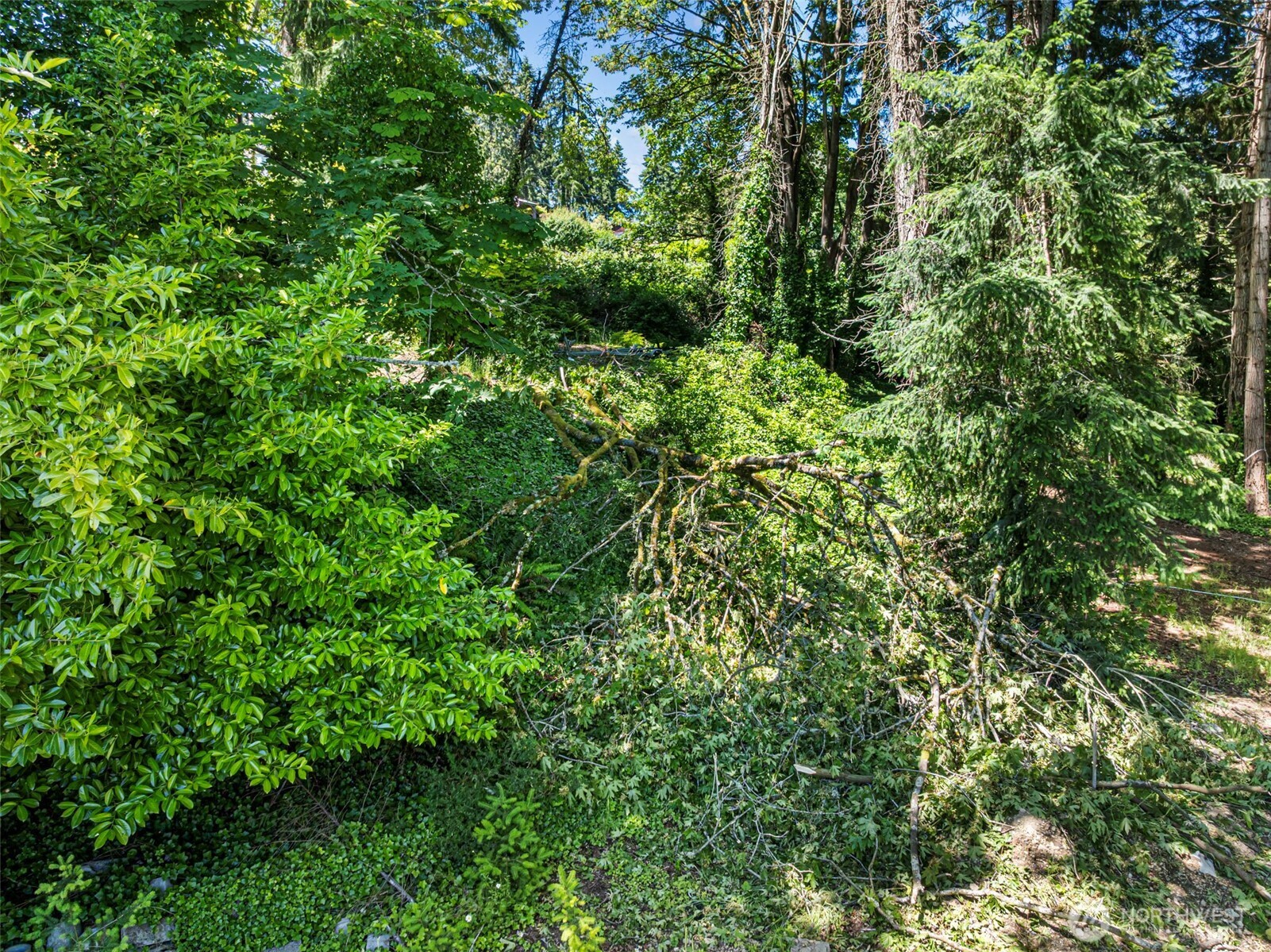 14447 Crescent Valley Road Property Photo 3