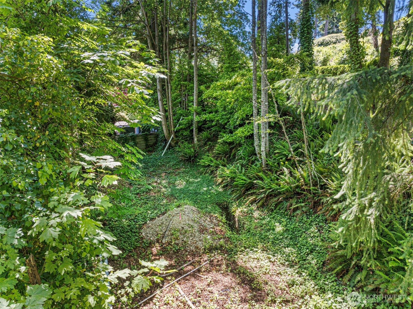 14447 Crescent Valley Road Property Photo 4